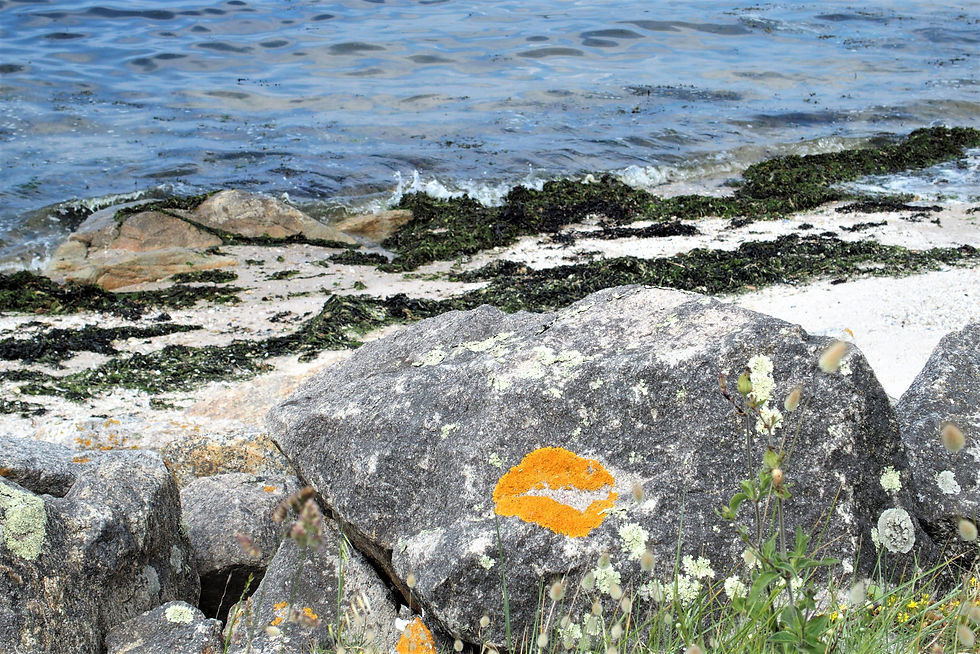 Le Croisic (1)