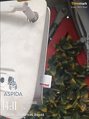 FONDO_BLOQUEO_ASPIDA (1).png