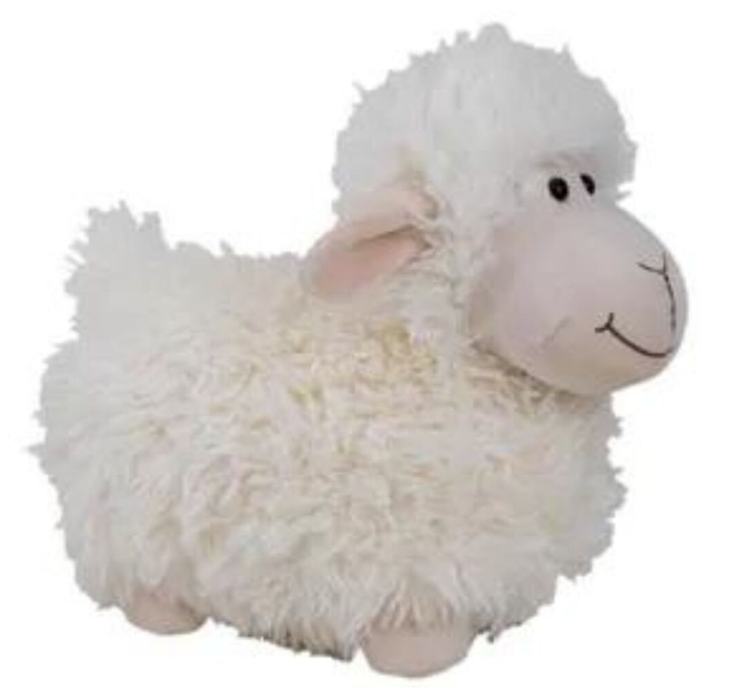 Shane the Sheep - Elka