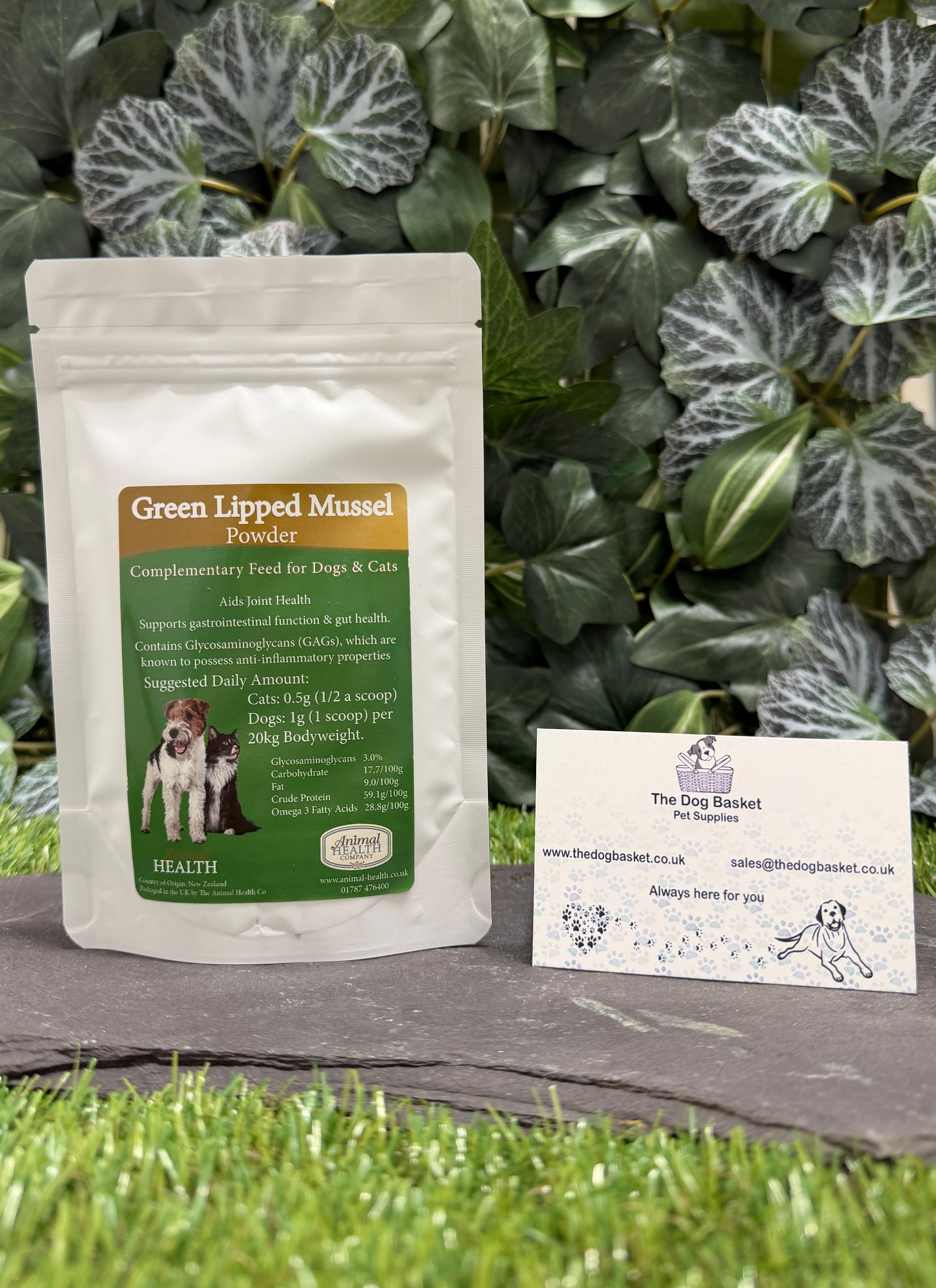 Green Lipped Mussel Powder