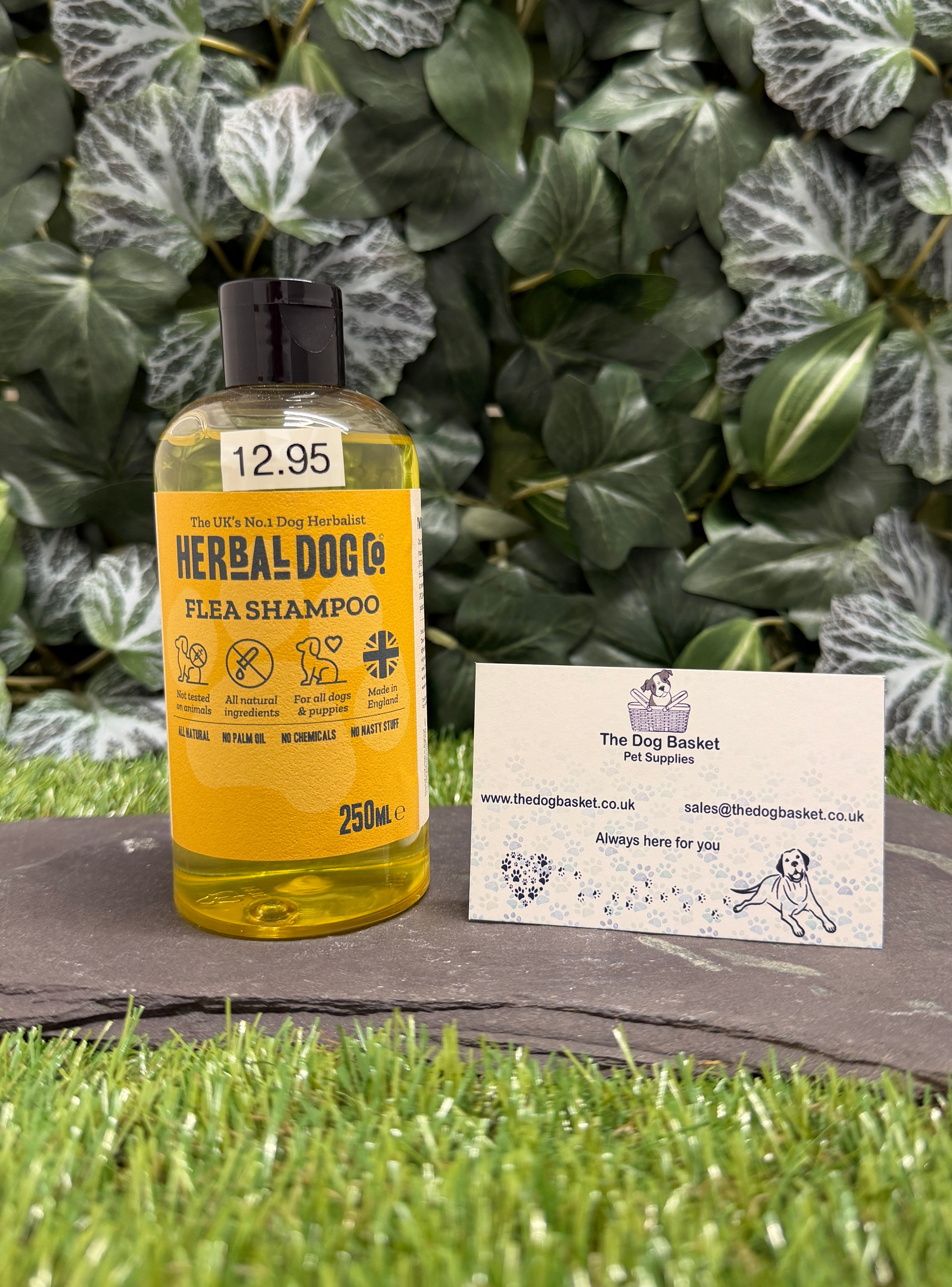 Flea Shampoo