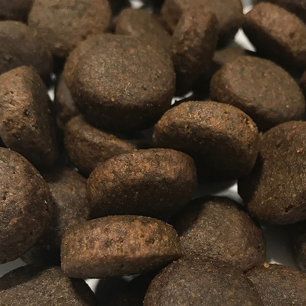 Thumbnail: Grain Free Turkey GFH