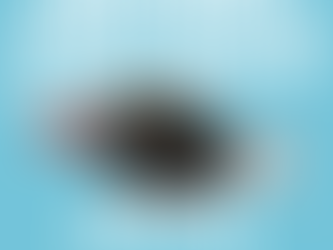 Entry #4 Book Review Convenience Store Woman - Sayaka Murata 