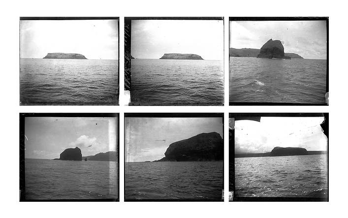 still frame seq 2.tif