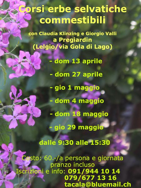 JPG ERBE MANOF 235.1.jpeg