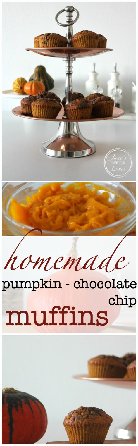 homemade pumpkin chocolate chip muffins