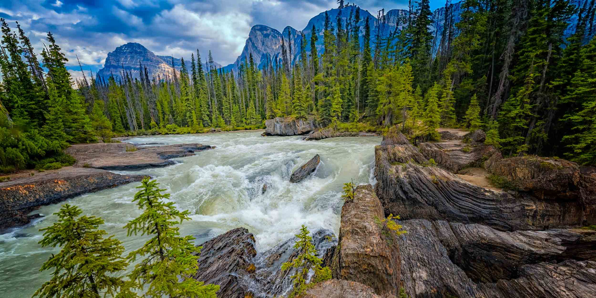 Majestic mountains in Yoho National Park stand tall behind the river and forest of pine trees.