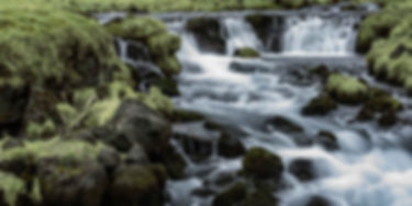 Three separate streams of water tumble over lava rocks  covered with green mosses and grass.