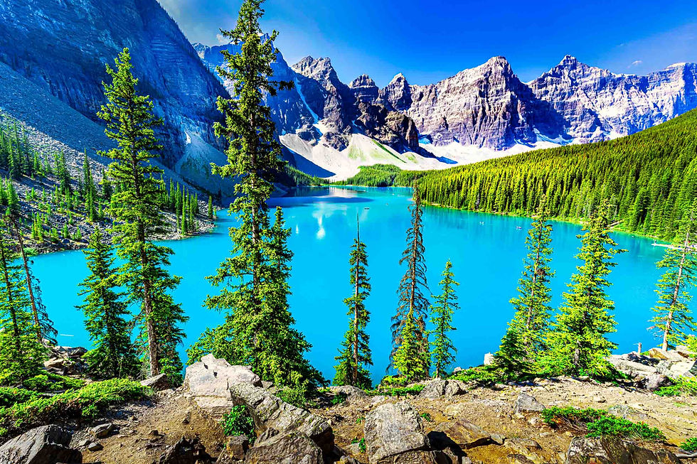 Moraine Lake with mountains and green pine trees surrounding the turquoise lake in Banff.