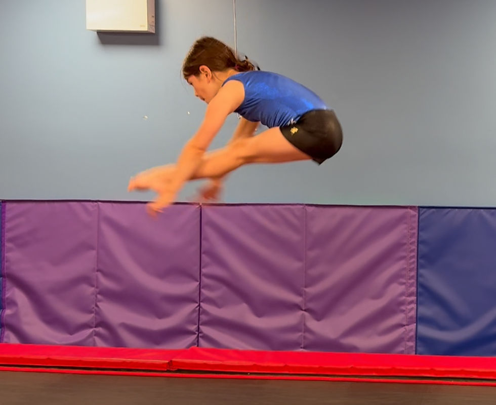 IMG_0724 2_edited_edited.jpg