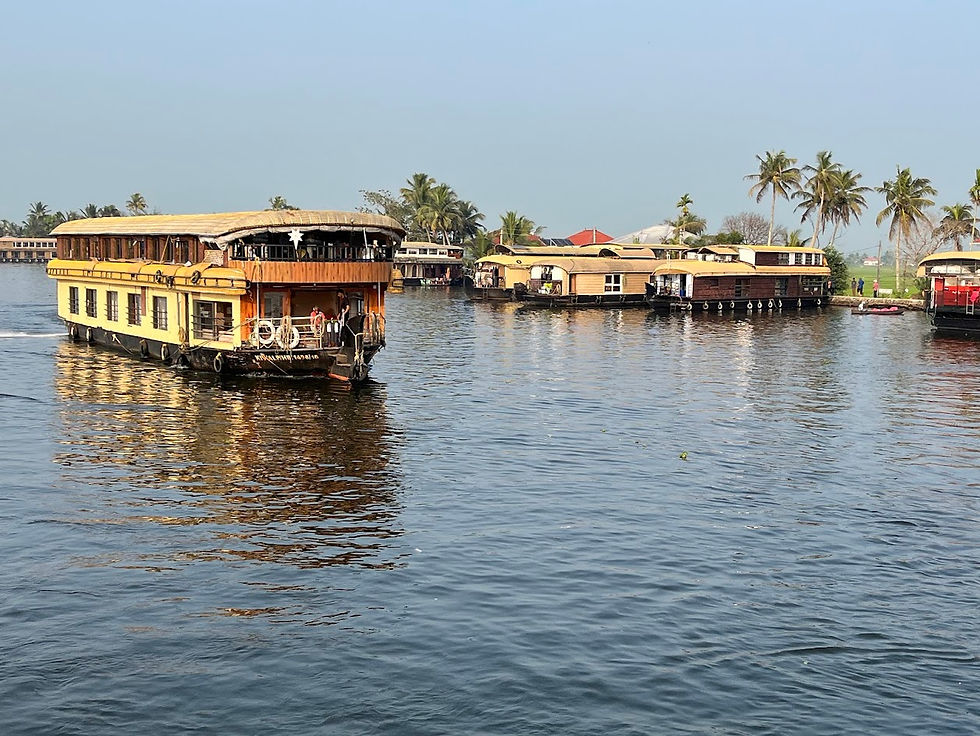 IMG_9323 kerala 25