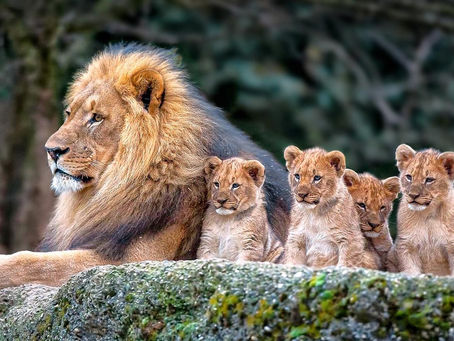 Vida Y Ética (Parte 3)