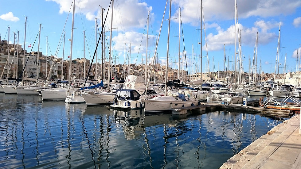 marina-boats-4718543_1920.jpg