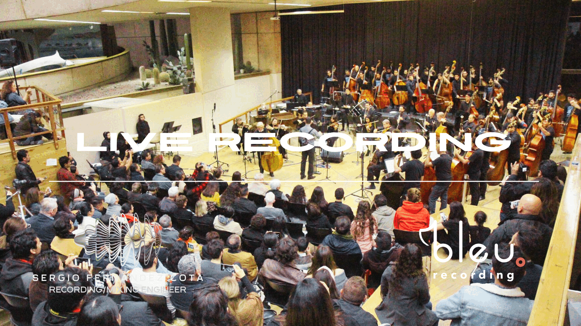 Live Recording Services Banner