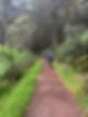 IMG_4202.jpeg