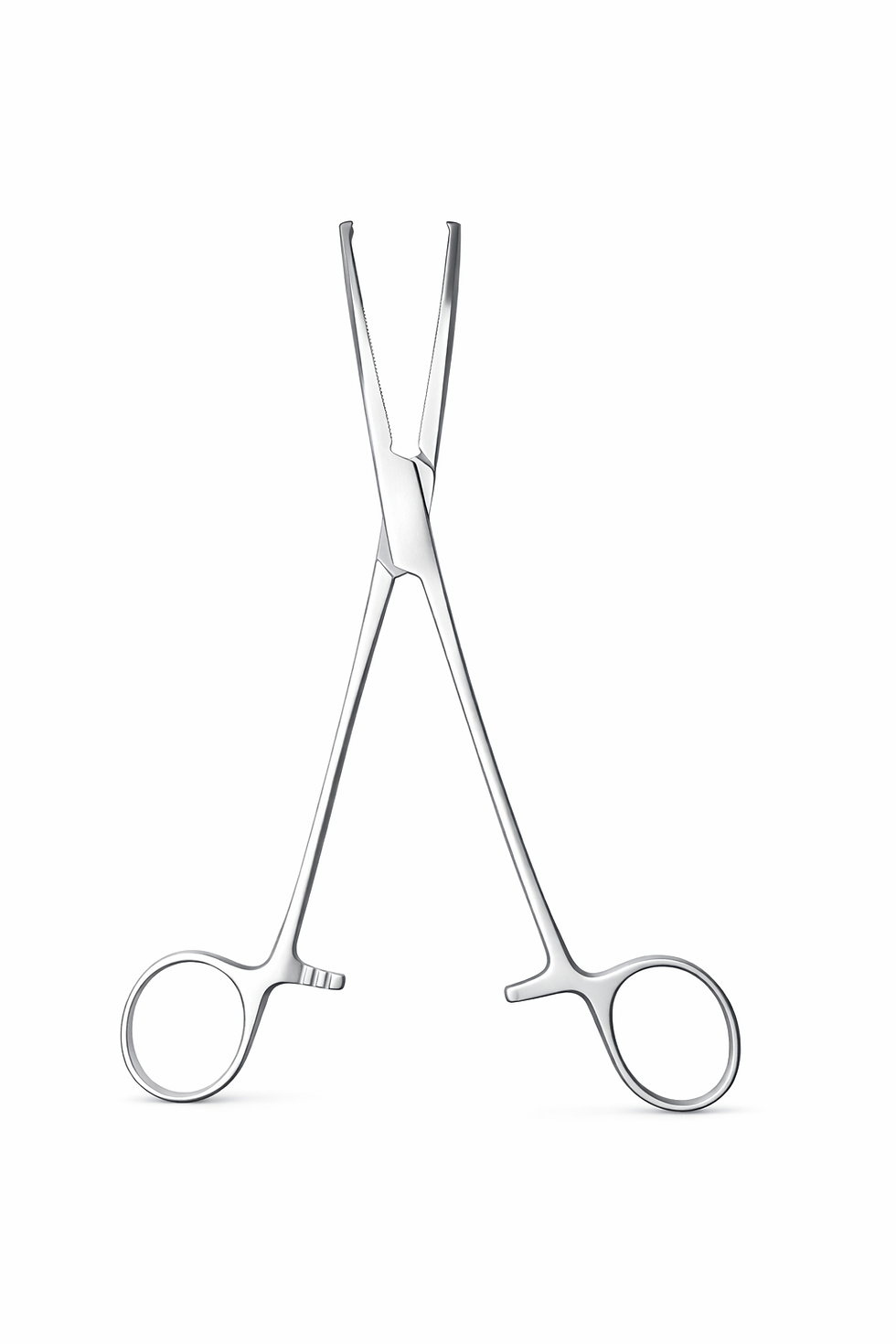 Thumbnail: Rochester Ochsner Forceps (Curved)