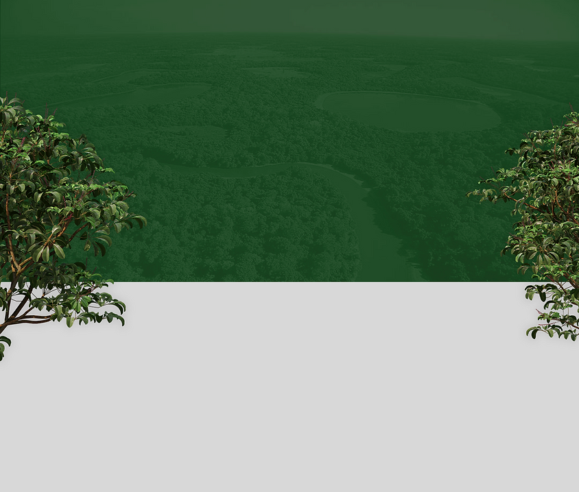 BANNER_SITE.png