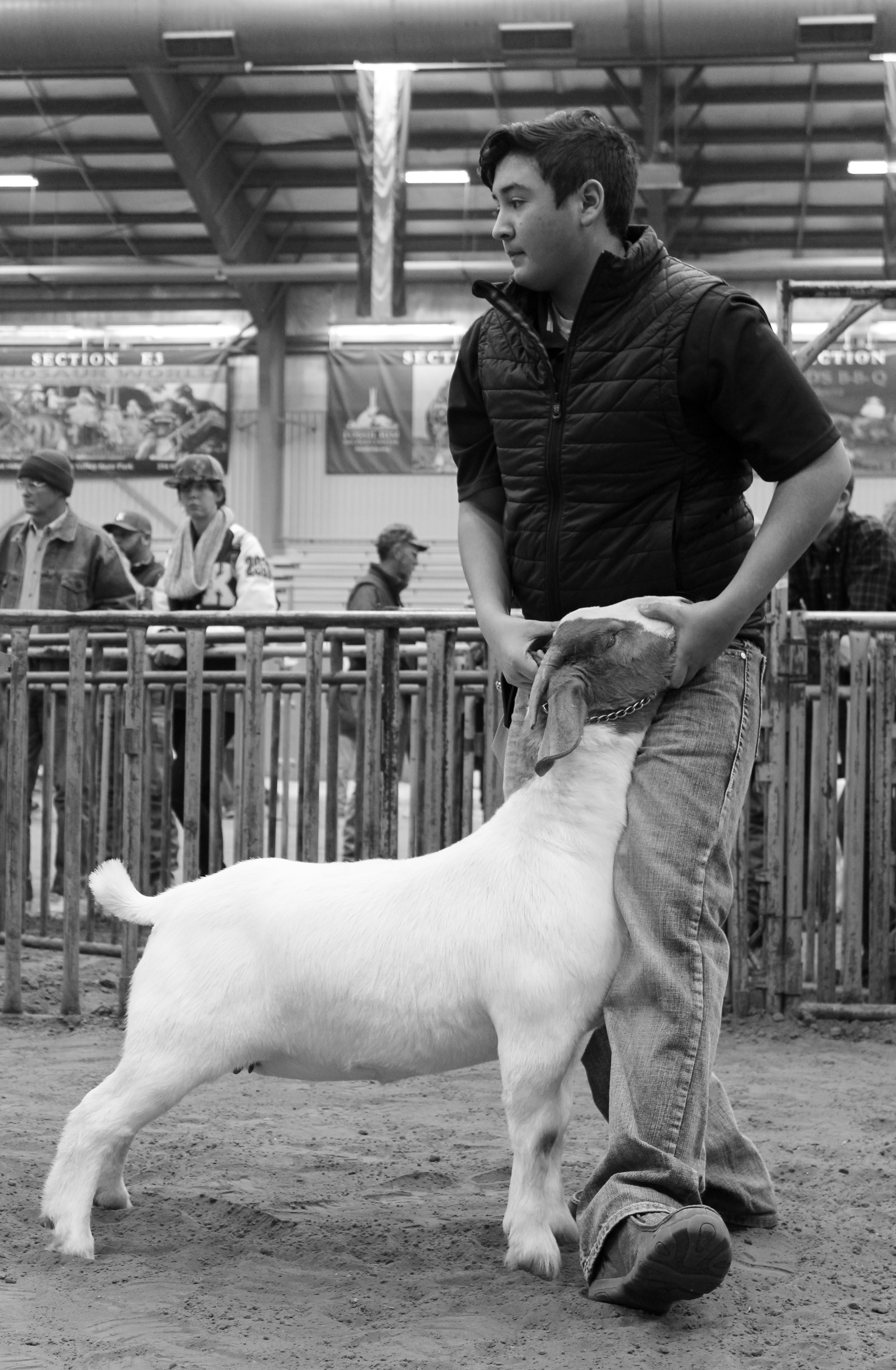 IMG_1052