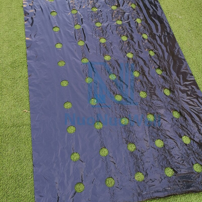 Thumbnail: 5M~50M 5Holes 95cm Width 0.02mm Black PE Film Garden Vegetable Membrane Agri