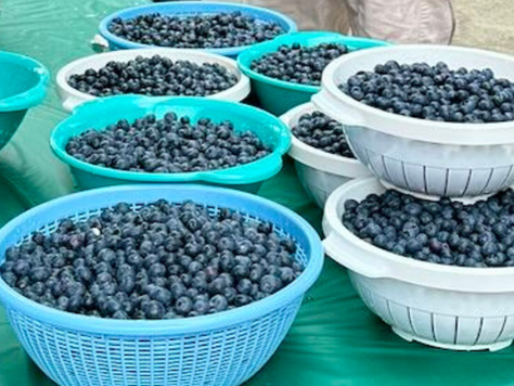 Blueberry Pancake Breakfast Stacks Up 47th Win