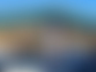 Hillsdale Banking Options Shrink