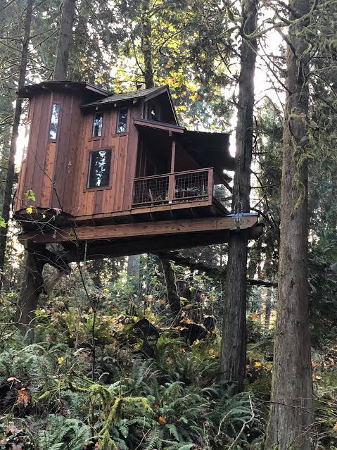 a large tree house in the woods