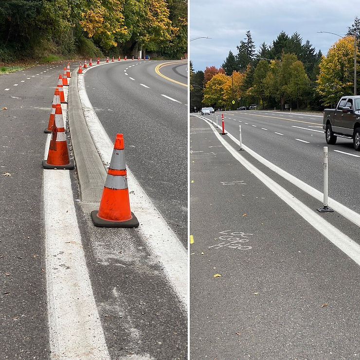 New curbs to separate the bike line from traffic on BH Hwy and the white poles that are being replaced.