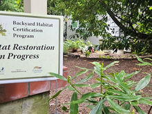 Habitat Certification Program Has Roots in Hillsdale