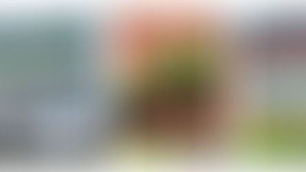 PPS Bond Measure and Hillsdale Schools