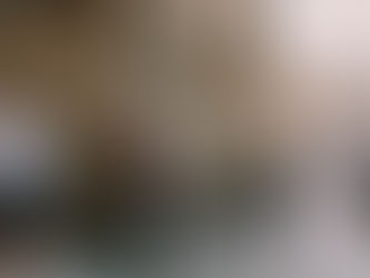 The Painter's Life in Hillsdale