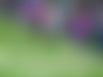 More Guerrilla Gardening Opportunities: “Save Some Plants for Hillsdale”