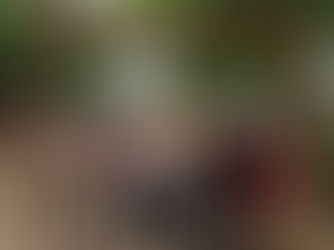 Eröffnung des Entdeckerpfades am 6. Juli