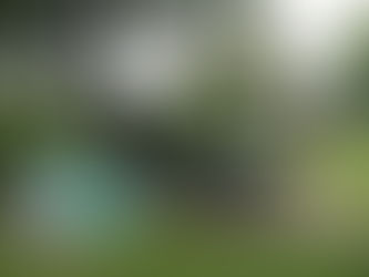 Einladung zum Gottesdienst im Kurpark Ehlscheid