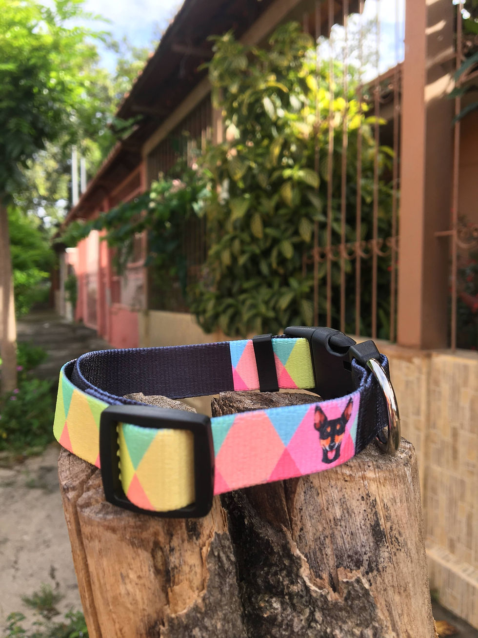 Miniatura: Collares