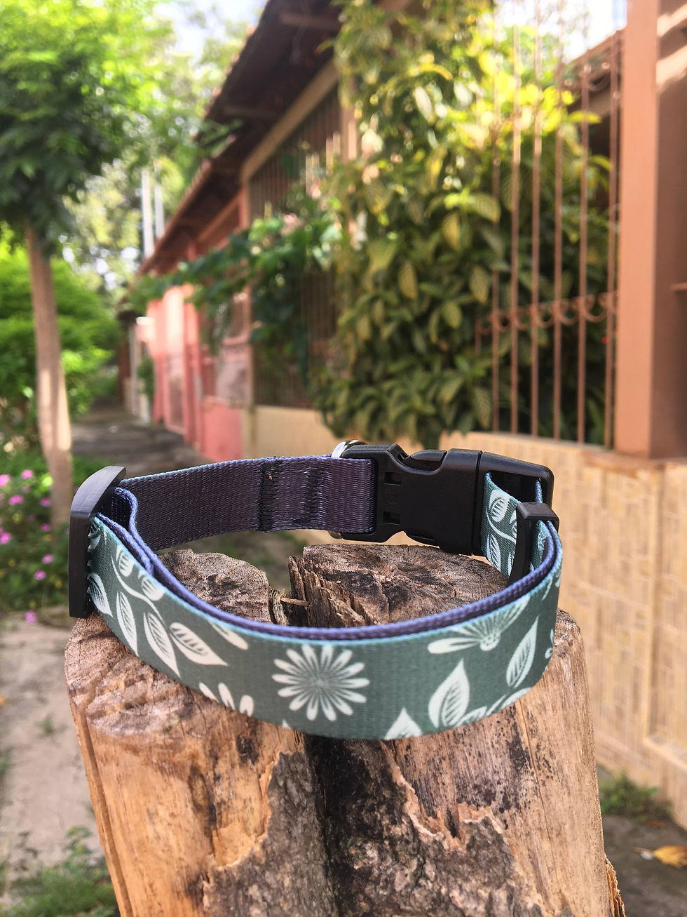Miniatura: Collares