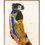 Miniaturebillede: Moa / Egon Schiele