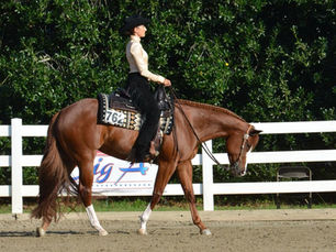 "Think like a horse"