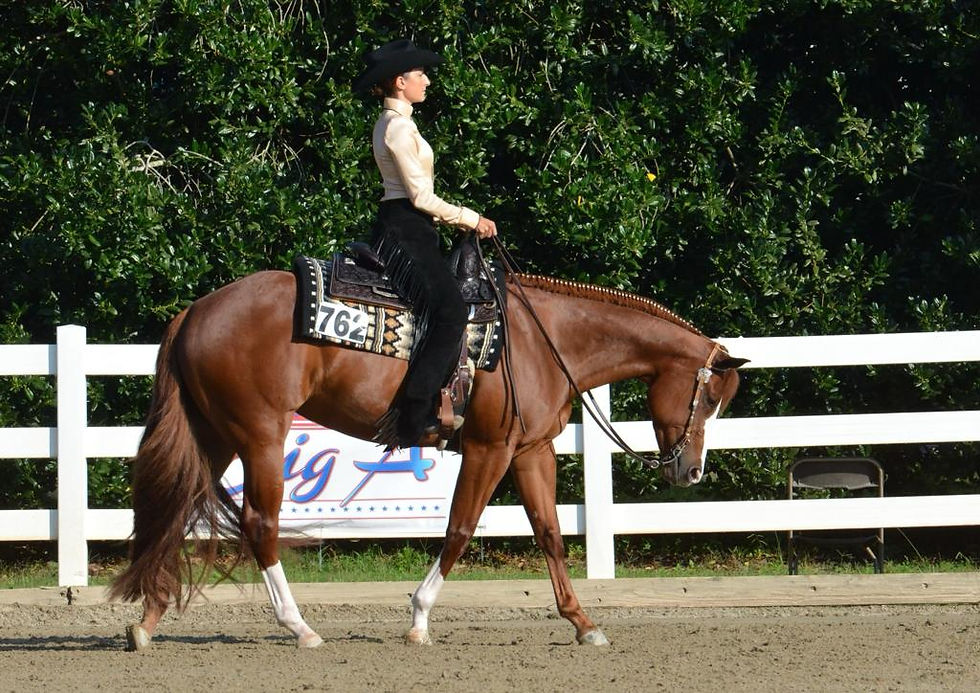 horsemanship pattern aqha nsba
