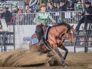 Rider Mindset: Success, Failure and Growth.