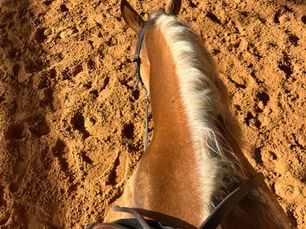 Leaving Personal Life Out of the Saddle
