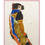 Miniaturebillede: Moa / Egon Schiele