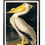 Miniaturebillede: American White Pelican, John James Audubon