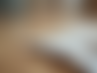 Napier Carpet Pricing Guide: Getting the Best Carpet Quote in Napier