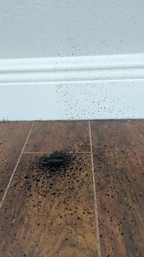 Before cleaning view of Hardwood floor with visible dirt and dust, awaiting professional cleaning service.