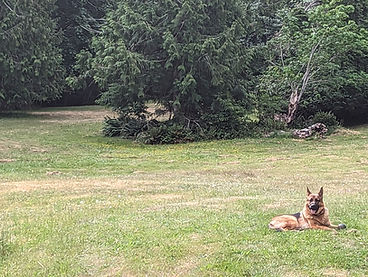 PXL_20230617_161253188 (1).jpg