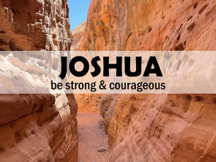 Joshua Study Guides
