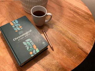 Let's Read the Whole Bible in 2025!