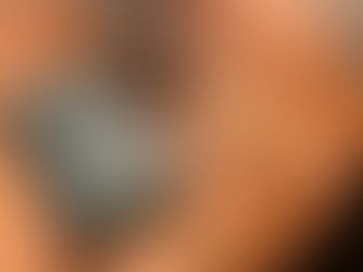 Let's Read the Whole Bible in 2025!