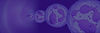 background-1.jpg