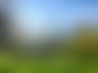 Central Park, New York City, with trees and grass in the foreground and a city skyline in the background, showcasing the benefits of green spaces in city life.